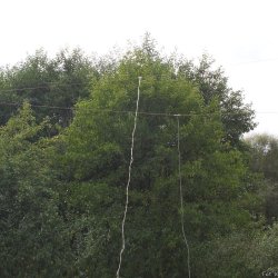 2013-09-13   Aktywacja gminy BU-05 Solec-Zdrój - zdjęcie 11