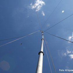 2016-06-18   Rezerwat Przyrody Owczary SPFF-0599 - zdjęcie 6