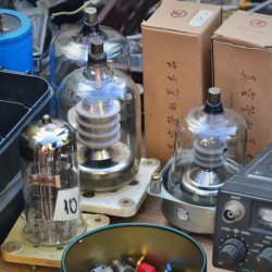 2019-09-14   Jodłówka Tuchowska  - zdjęcie 26