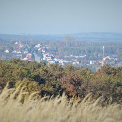 2019-10-20   Pomiędzy Łagiewnikami  a Zbrodzicami  - zdjęcie 8