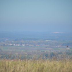 2019-10-20   Pomiędzy Łagiewnikami  a Zbrodzicami  - zdjęcie 9