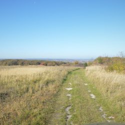 2019-10-20   Pomiędzy Łagiewnikami  a Zbrodzicami  - zdjęcie 12