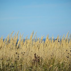 2019-10-20   Pomiędzy Łagiewnikami  a Zbrodzicami  - zdjęcie 19