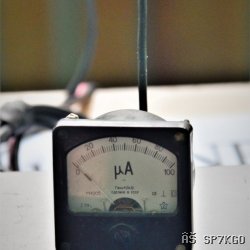 2018-11-10_10-44-23_DSC_6701.jpg