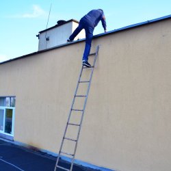 2019-11-10   HF18NPMW   Nadanie Praw Miejskich Wiślicy  - zdjęcie 41