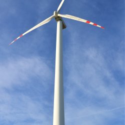 2019-11-17   Chomentowo  - zdjęcie 2