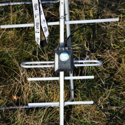 2019-11-17   Chomentowo  - zdjęcie 23