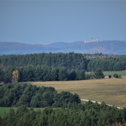 2019-11-17   Chomentowo  - zdjęcie 8