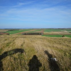 2019-11-17   Chomentowo  - zdjęcie 9