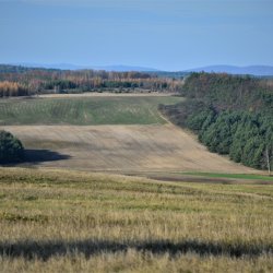 2019-11-17   Chomentowo  - zdjęcie 18