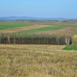 2019-11-17   Chomentowo  - zdjęcie 19