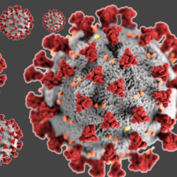 2020-03-20   2021-08-31   Pandemia   Kontak tylko radiowy  - zdjęcie 3