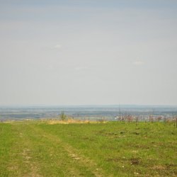 2022-05-01   Majowe spotkanie na górce w Łagiewnikach  - zdjęcie 3