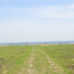 DSC_4979.JPG