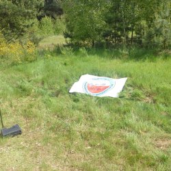 2022-05-28    ŁOŚ  ogólnopolskie spotkanie krótkofalowców  - zdjęcie 188