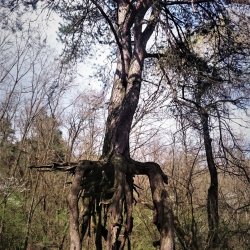 2023-04-16   Odwiedziny Wiesława sq5abg  - zdjęcie 31