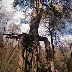 2023-04-16   Odwiedziny Wiesława sq5abg  - zdjęcie 27