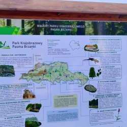 2023-09-09   Brzanka  spotkanie krótkofalowców  - zdjęcie 28