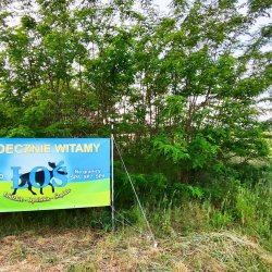 2024-05-24   ŁOŚ piątek 20 30 SP7KGO via FM POLAND na przemienniku SR7KGO