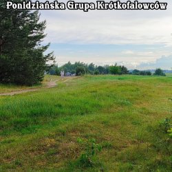 IMG_20240524_185322.jpg