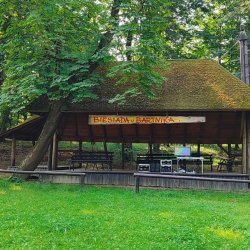 2024-06-29 Sądecki Bartnik - zdjęcie 4