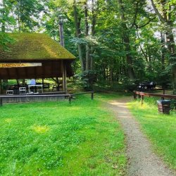 2024-06-29 Sądecki Bartnik - zdjęcie 5