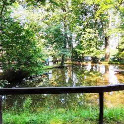 2024-06-29 Sądecki Bartnik - zdjęcie 8