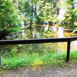 2024-06-29 Sądecki Bartnik - zdjęcie 9