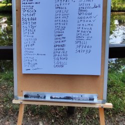 2024-06-29 Sądecki Bartnik - zdjęcie 49