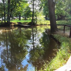 2024-06-29 Sądecki Bartnik - zdjęcie 55