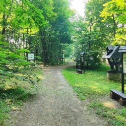 2024-06-29 Sądecki Bartnik - zdjęcie 62