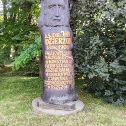 2024-06-29 Sądecki Bartnik - zdjęcie 69