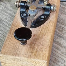 2024-06-29 Sądecki Bartnik - zdjęcie 115