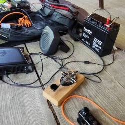 2024-06-29 Sądecki Bartnik - zdjęcie 117