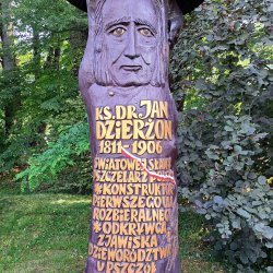 2024-06-29 Sądecki Bartnik - zdjęcie 159