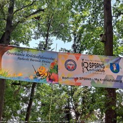 2024-06-29 Sądecki Bartnik - zdjęcie 198