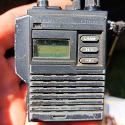 2024-06-29 Sądecki Bartnik - zdjęcie 202