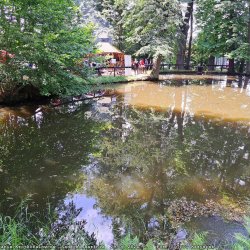 2024-06-29 Sądecki Bartnik - zdjęcie 211