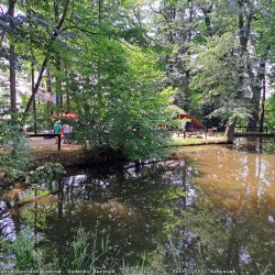 2024-06-29 Sądecki Bartnik - zdjęcie 223