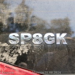 2024-08-31 XII Podkarpacki Zjazd Krótkofalowców   Marysin - zdjęcie 73