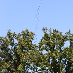 2024-08-31 XII Podkarpacki Zjazd Krótkofalowców   Marysin - zdjęcie 183