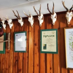 2024-08-31 XII Podkarpacki Zjazd Krótkofalowców   Marysin - zdjęcie 252