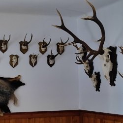 2024-08-31 XII Podkarpacki Zjazd Krótkofalowców   Marysin - zdjęcie 254