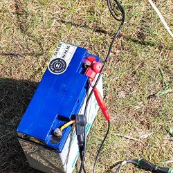 2024-08-31 XII Podkarpacki Zjazd Krótkofalowców   Marysin - zdjęcie 335