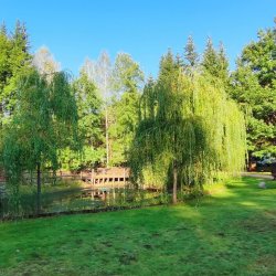 2024-09-22 Spotkanie krótkofalowców - Celestynów - zdjęcie 239