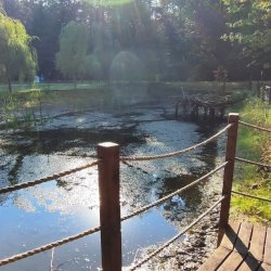 2024-09-22 Spotkanie krótkofalowców - Celestynów - zdjęcie 254