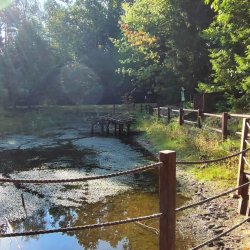 2024-09-22 Spotkanie krótkofalowców - Celestynów - zdjęcie 255