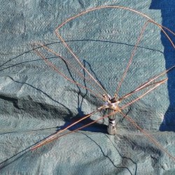 2024-09-22 Spotkanie krótkofalowców - Celestynów - zdjęcie 352