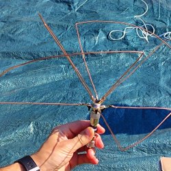 2024-09-22 Spotkanie krótkofalowców - Celestynów - zdjęcie 355