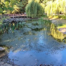 2024-09-22 Spotkanie krótkofalowców - Celestynów - zdjęcie 449